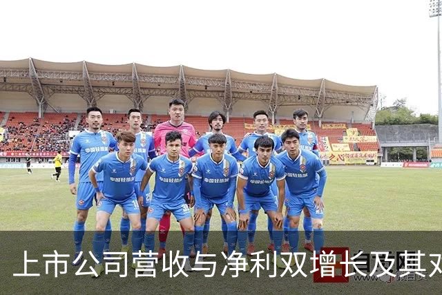 上市公司营收与净利双增长及其对市场的影响分析