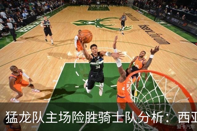 猛龙队主场险胜骑士队分析：西亚卡姆与勒韦尔的高效表现